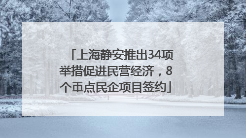 上海静安推出34项举措促进民营经济，8个重点民企项目签约
